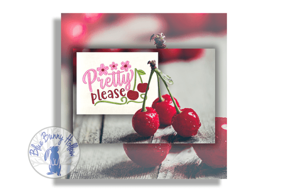 Pretty Please Embroidery Review